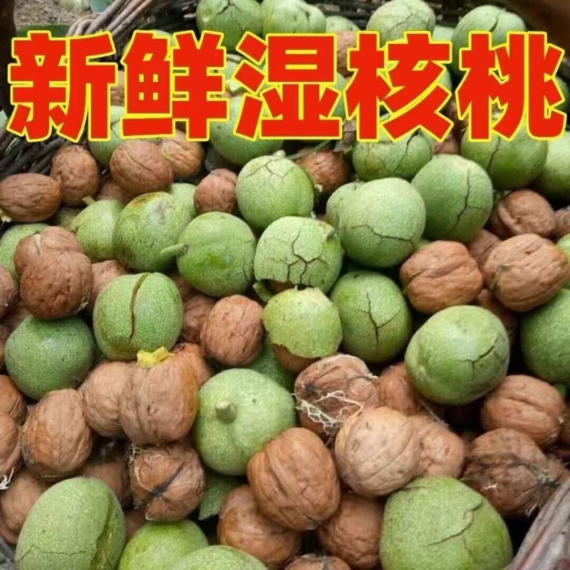 一件代发青皮核桃