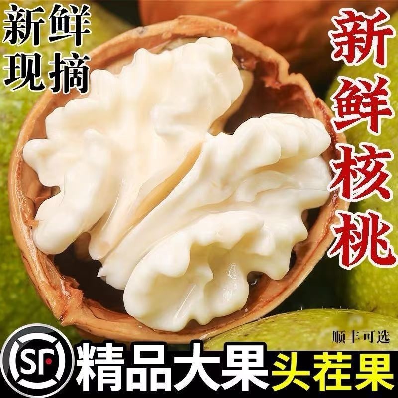 一键代发青皮核桃