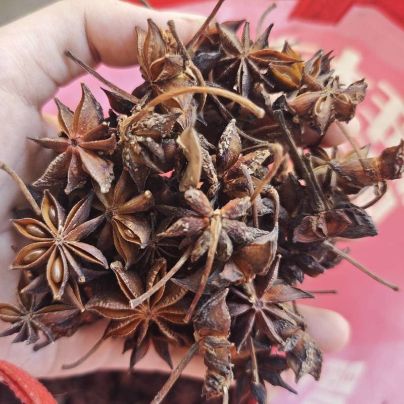 全干八角，批发优惠