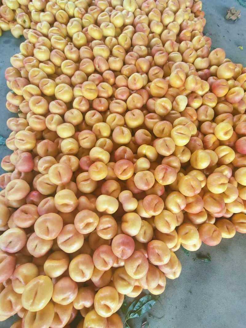 黄油蟠桃黄油蟠紫霞口感香甜产地一手货源大量现货