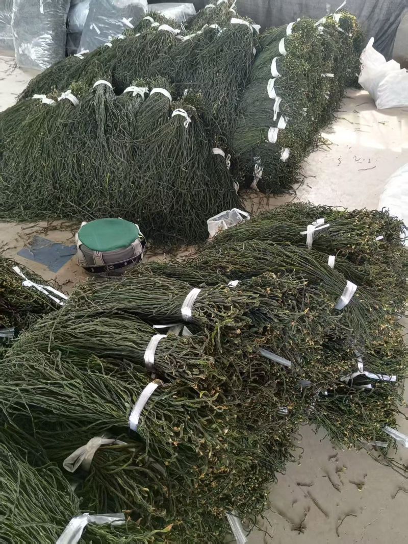 干豆角自产自制保质保量代发全国需要的老板联系