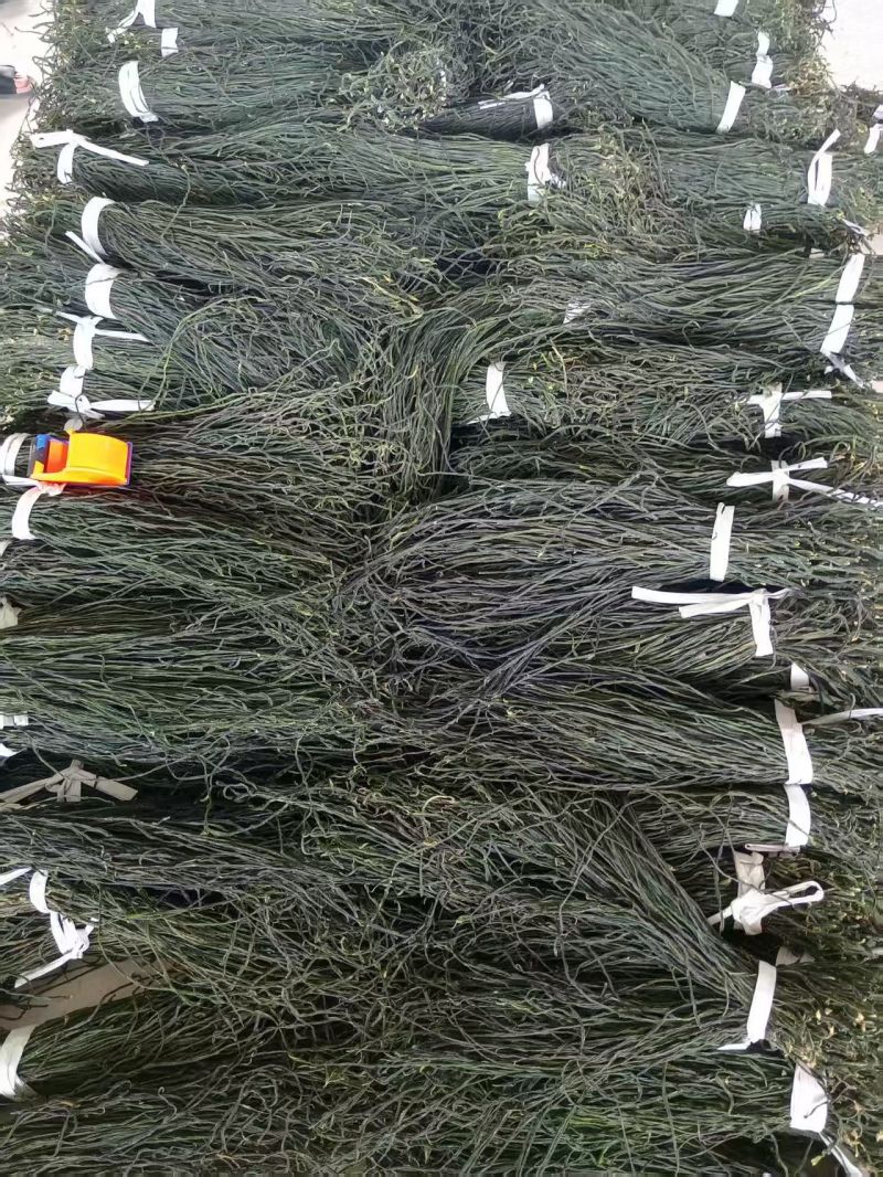干豆角自产自制保质保量代发全国需要的老板联系