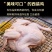 西装鸡，工厂直发，对接批发市场，商超，量大从优