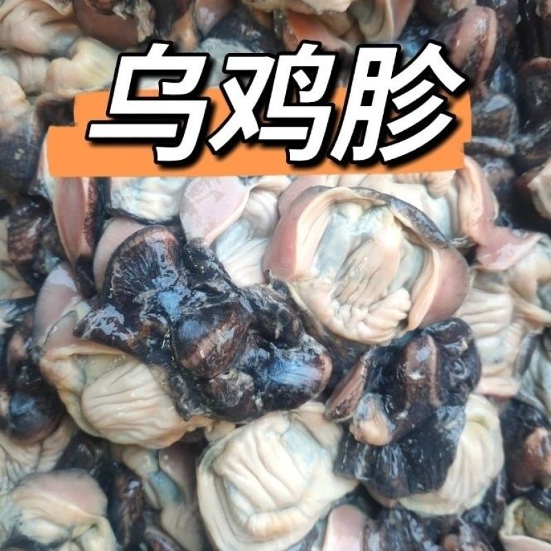 新鲜乌鸡胗冷冻无水干净营养丰富烧烤火锅卤煮食
