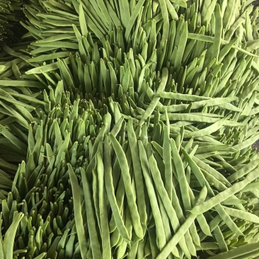 精品扁豆大量有货