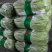 精品扁豆大量有货