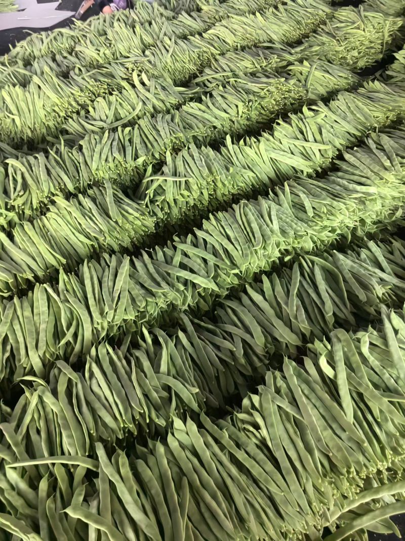 精品扁豆大量有货