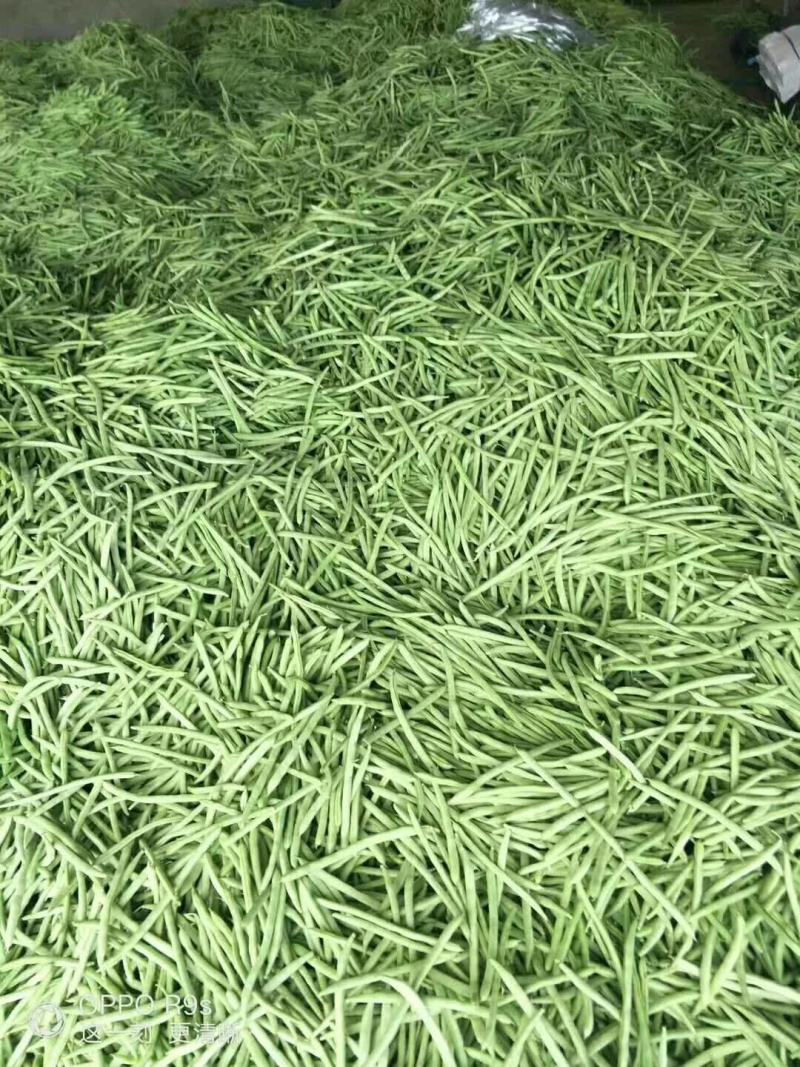 精品扁豆大量有货