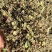 陕西青花椒上市，无任何中间商