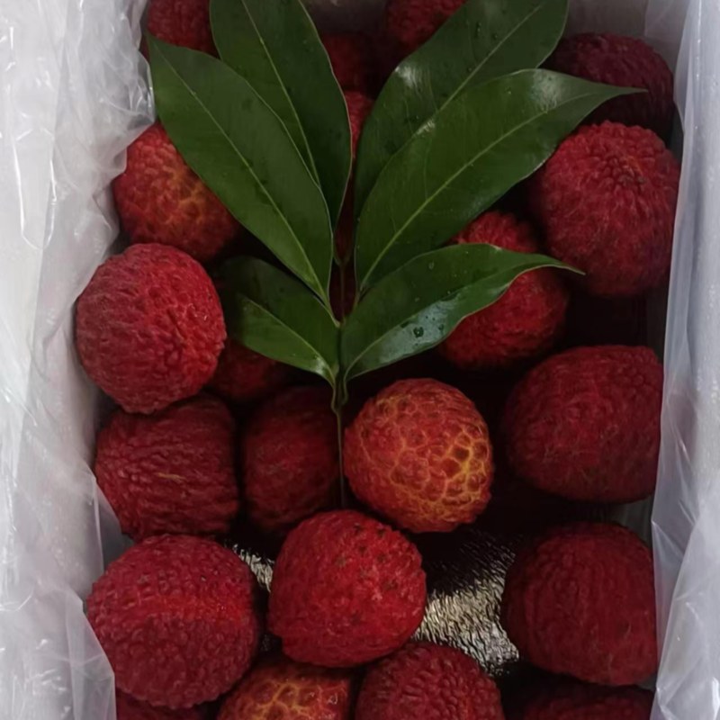 无核荔枝，仙进奉，桂味，支持一件代发，和团购