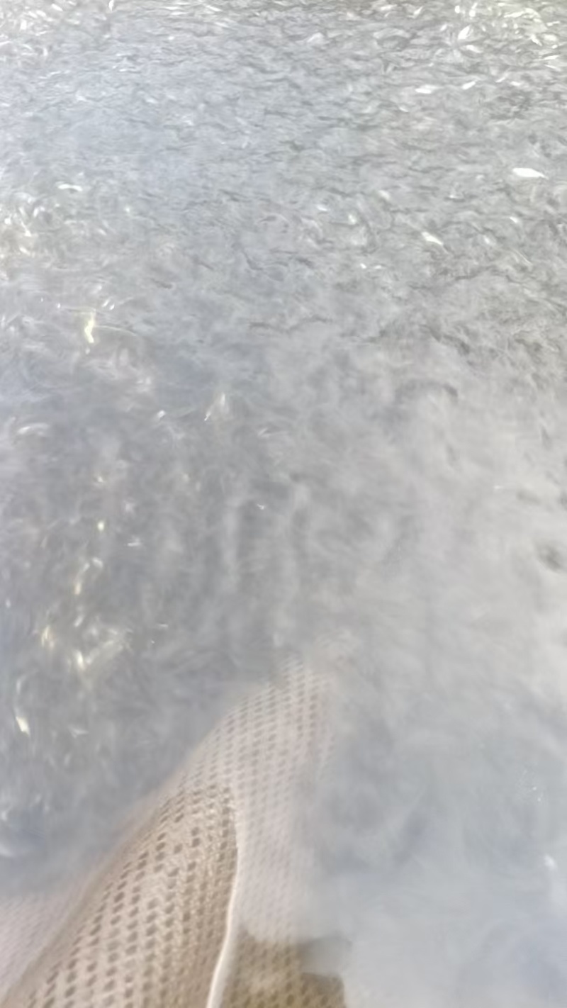 草鱼苗，优质草鱼苗，抗病率强，成活率高，欢迎咨询，价格可谈
