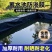 鱼塘防渗膜防渗水，池塘蓄水沼气池专用