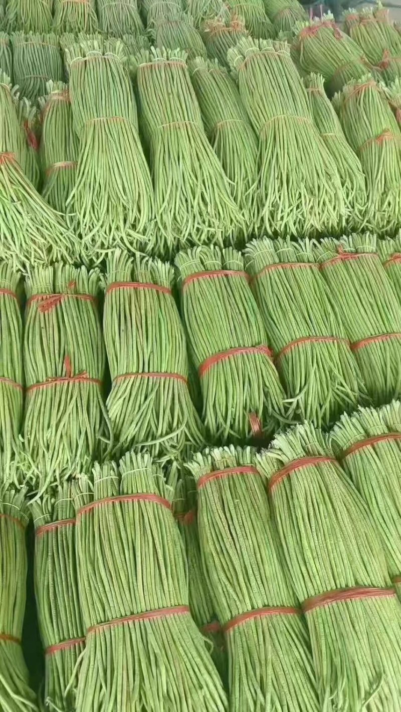 青豆角豆角市场电商加工厂，腌制嗮条大量供货