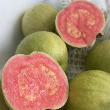 红心番石榴潮汕木仔酸甜芭乐