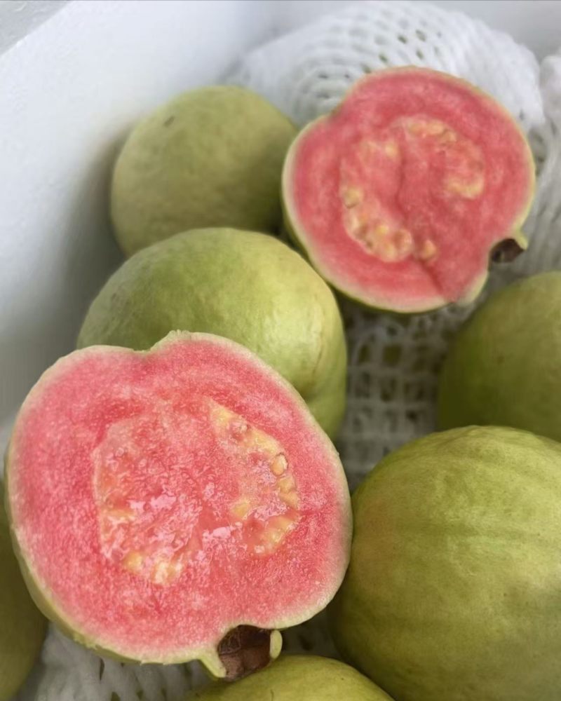 红心番石榴潮汕木仔酸甜芭乐