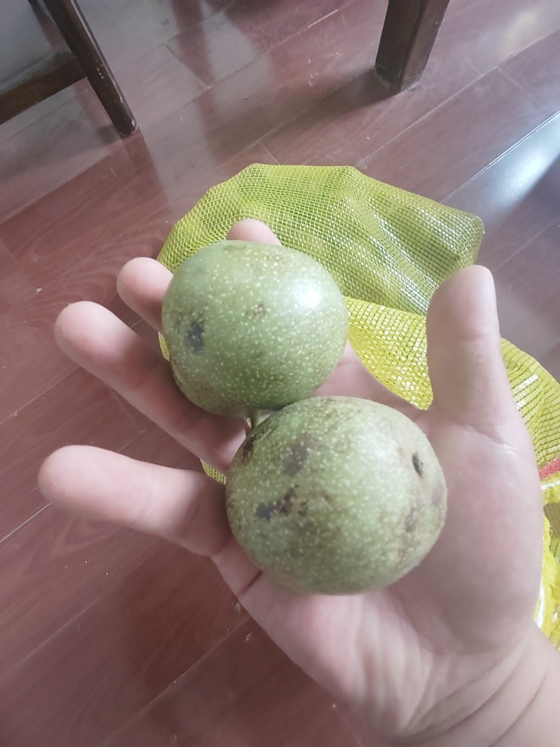 鲜核桃，有量有价，承接各大平台一件代发，批发。