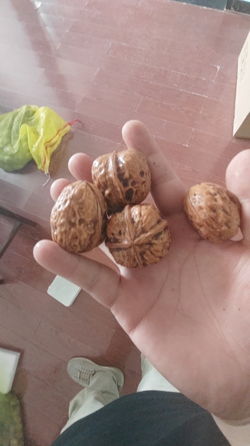 鲜核桃，有量有价，承接各大平台一件代发，批发。