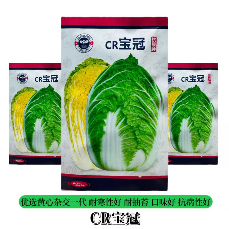 CR宝冠大白菜种子黄心耐抽苔耐寒耐低温抗根肿病耐寒性好