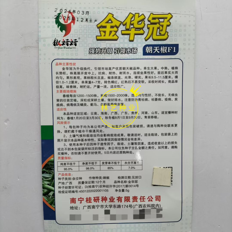 金华冠升级朝天椒辣椒种子抗病抗逆易管理耐热耐雨水香辣