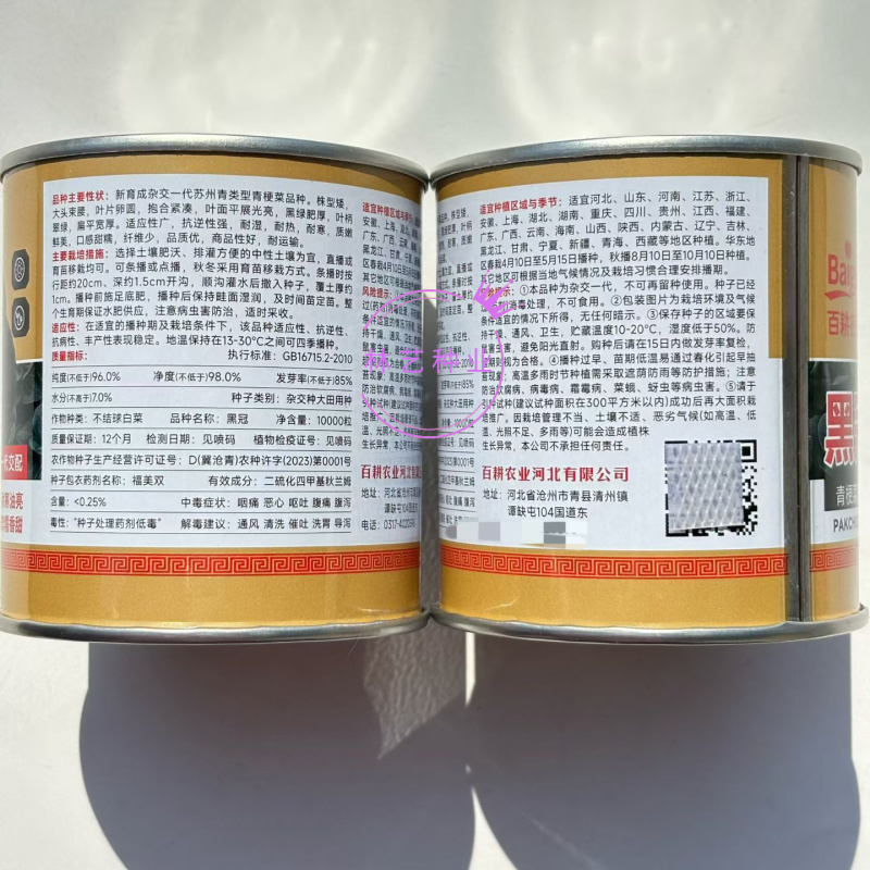 黑冠杂交梗菜种子株型矮大头束腰黑绿肥厚耐湿耐热耐寒