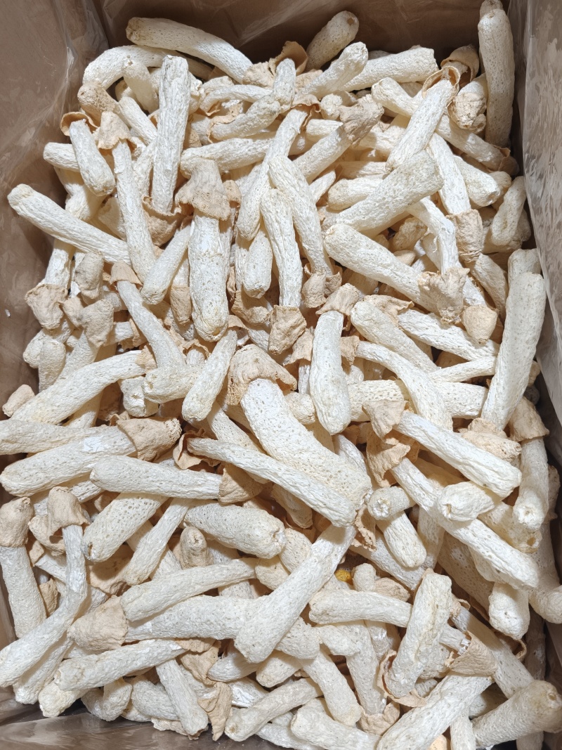 福建特产竹荪竹荪球干货食用菌煲汤火锅酒店食材批发