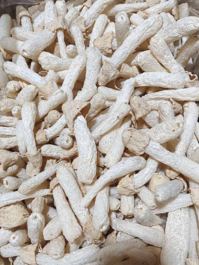 福建特产竹荪竹荪球干货食用菌煲汤火锅酒店食材批发