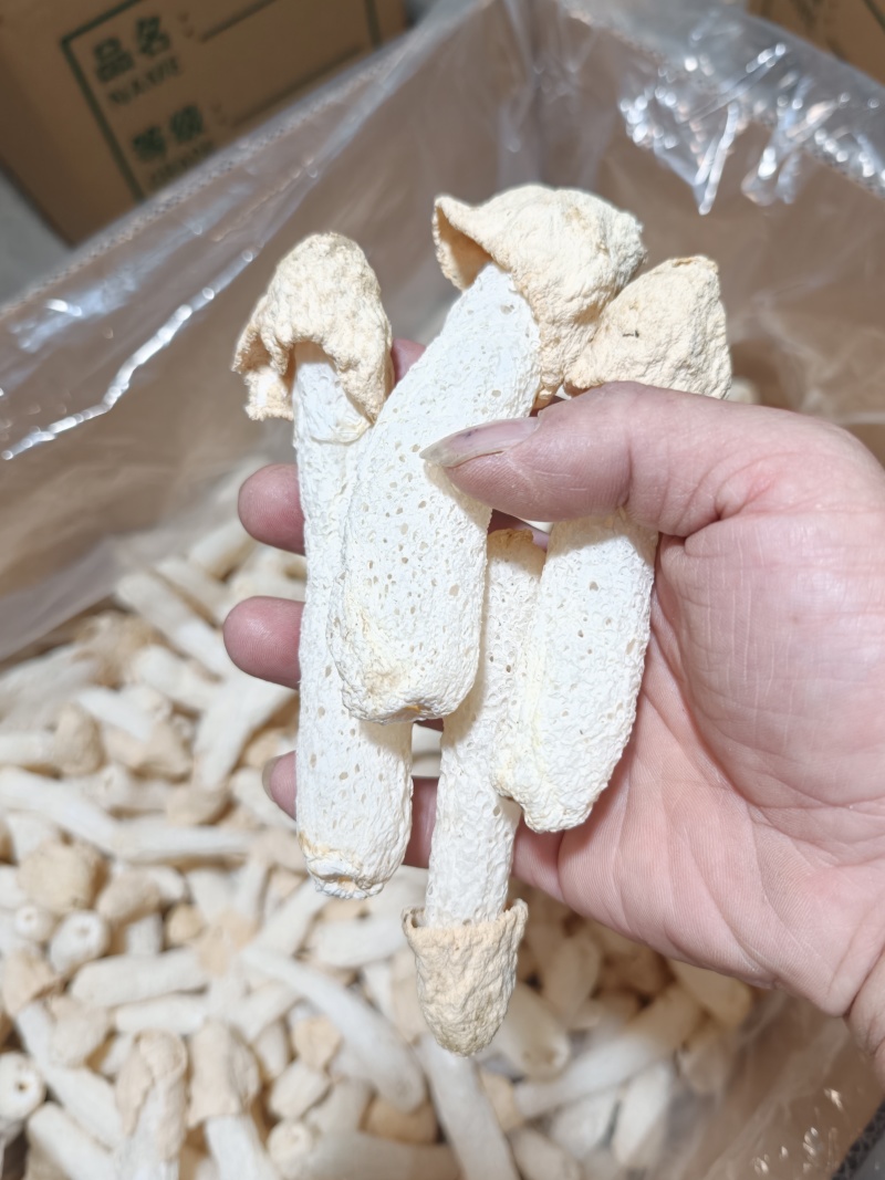 福建特产竹荪竹荪球干货食用菌煲汤火锅酒店食材批发