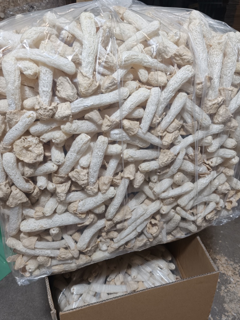福建特产竹荪竹荪球干货食用菌煲汤火锅酒店食材批发
