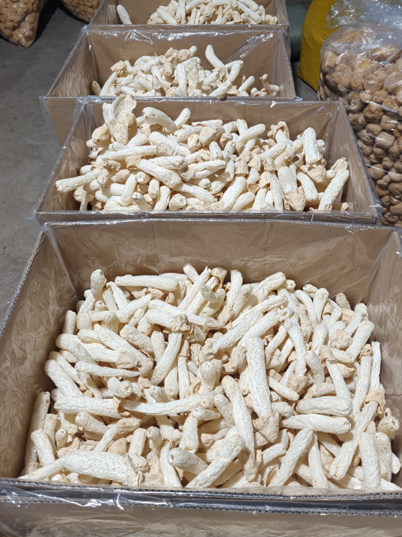 福建特产竹荪竹荪球干货食用菌煲汤火锅酒店食材批发