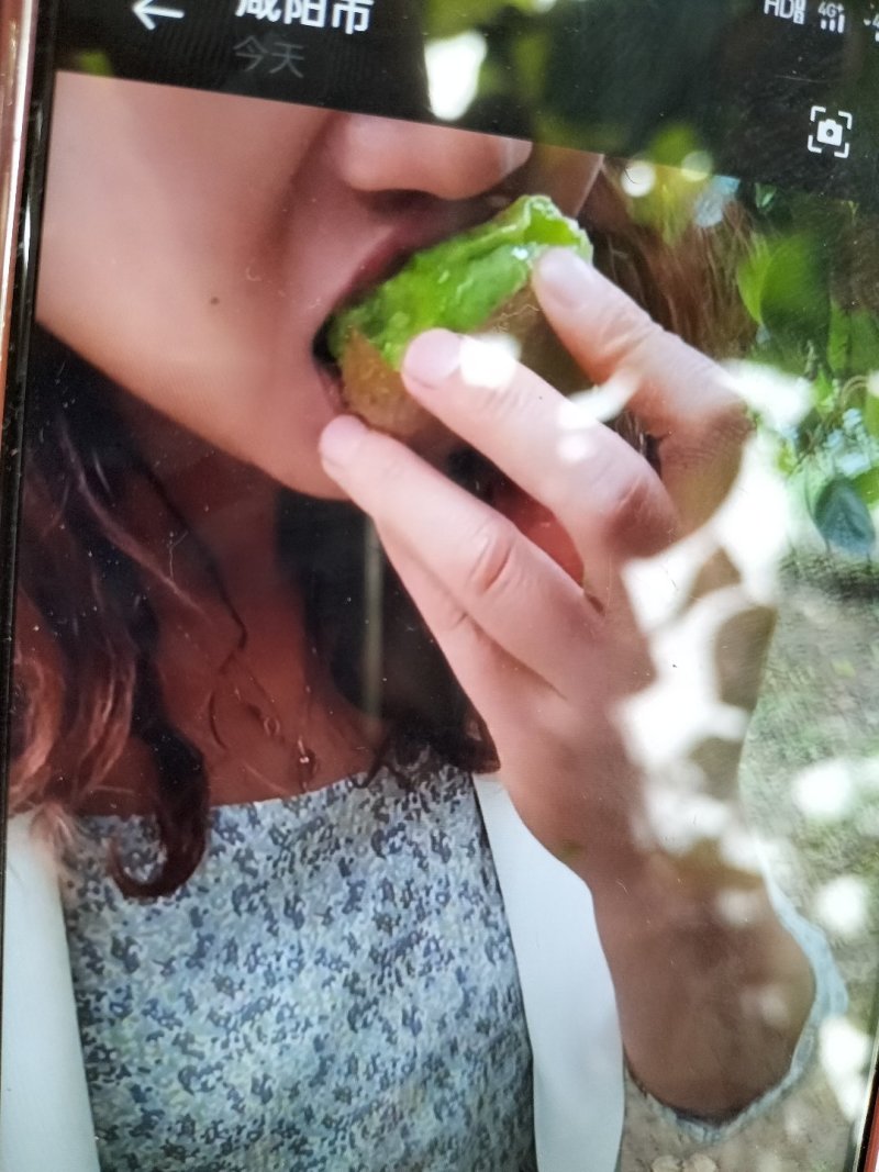 天上有蟠桃地上猕猴桃山水好果子送礼相容陕西特色水果自己种