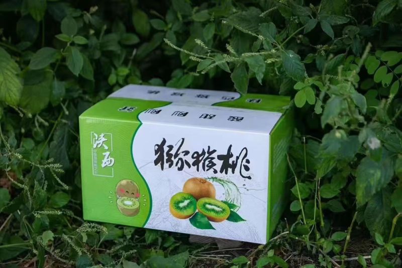 天上有蟠桃地上猕猴桃山水好果子送礼相容陕西特色水果自己种