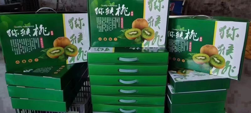 天上有蟠桃地上猕猴桃山水好果子送礼相容陕西特色水果自己种