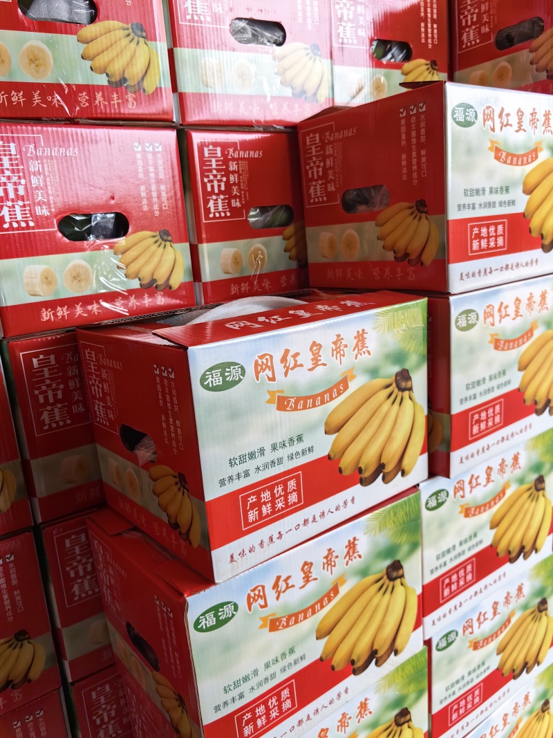 海南网红皇帝蕉
