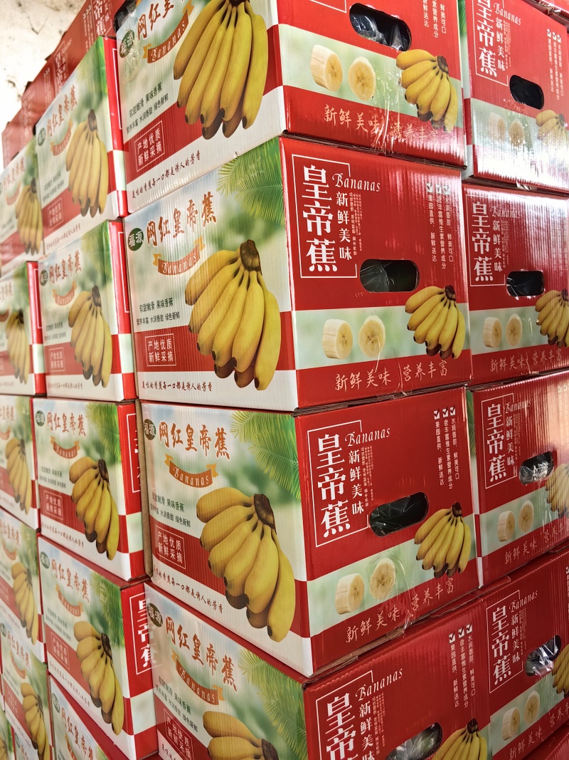 海南网红皇帝蕉