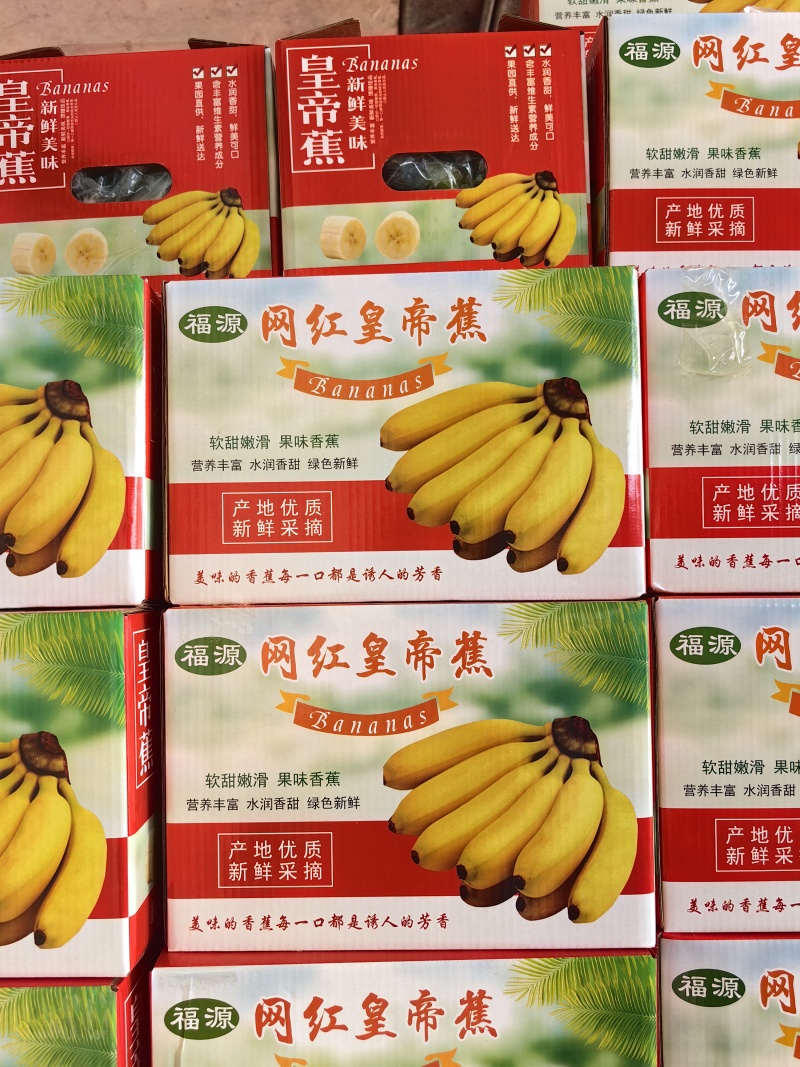 海南网红皇帝蕉