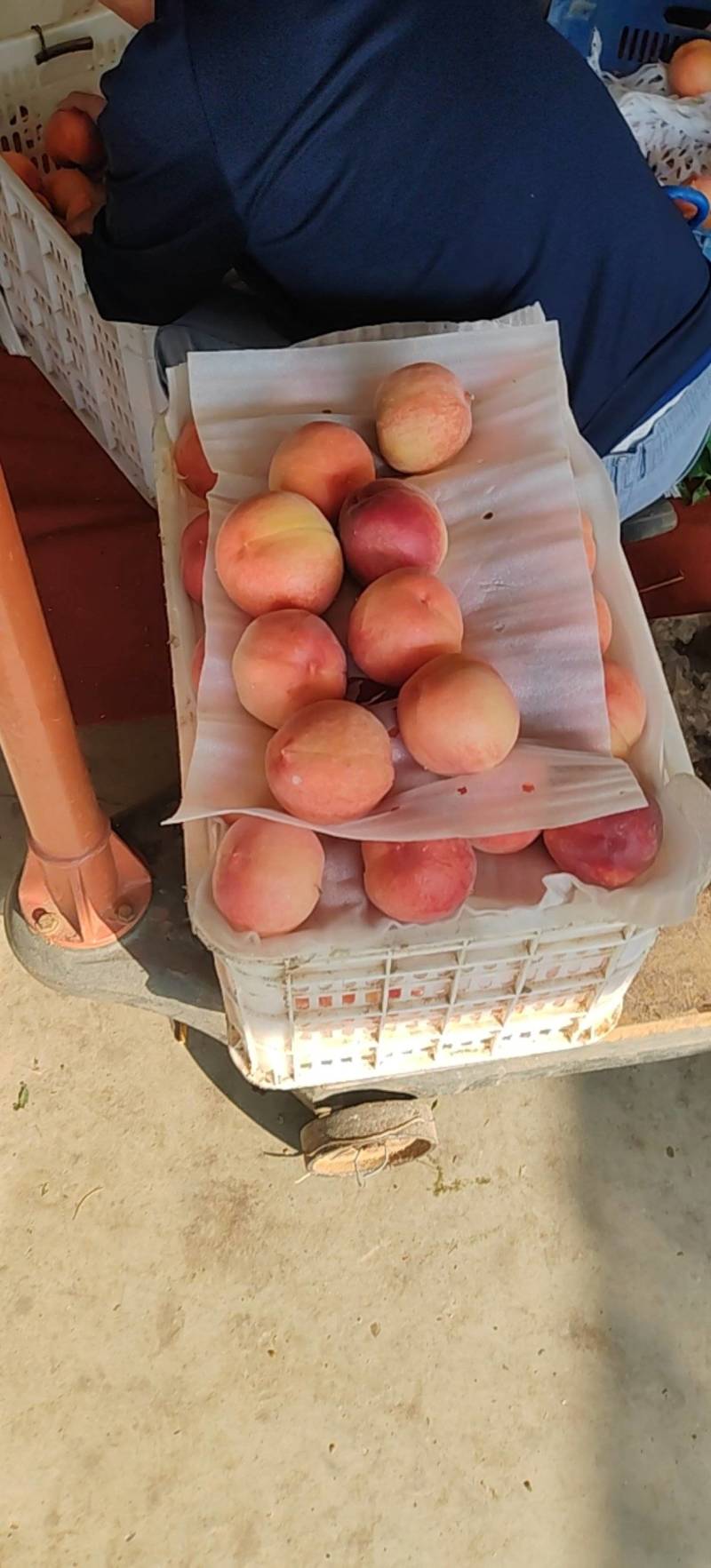 对接商超