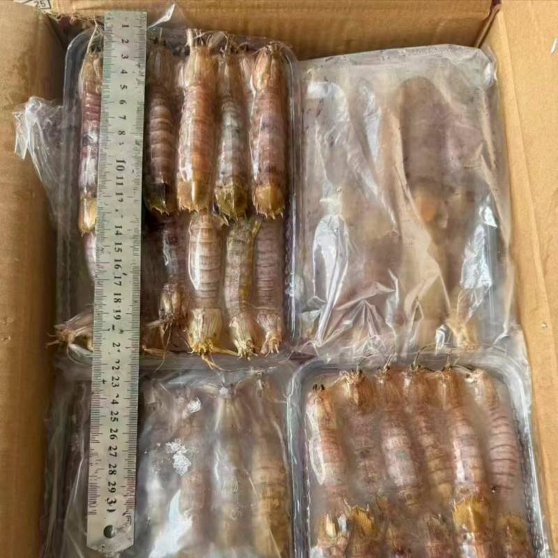 小皮皮虾，毛重一斤，净重250克！视频实拍！