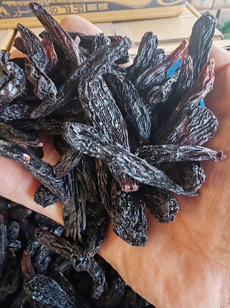蓝宝石葡萄干，