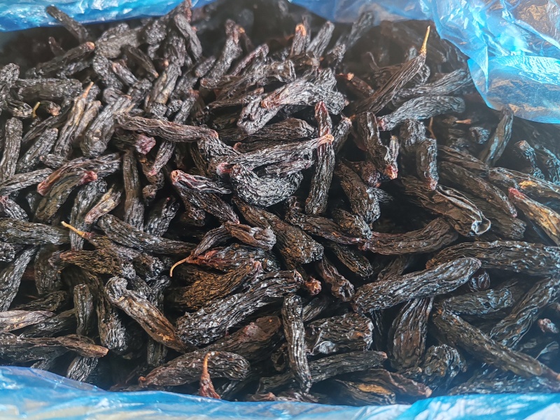 蓝宝石葡萄干，