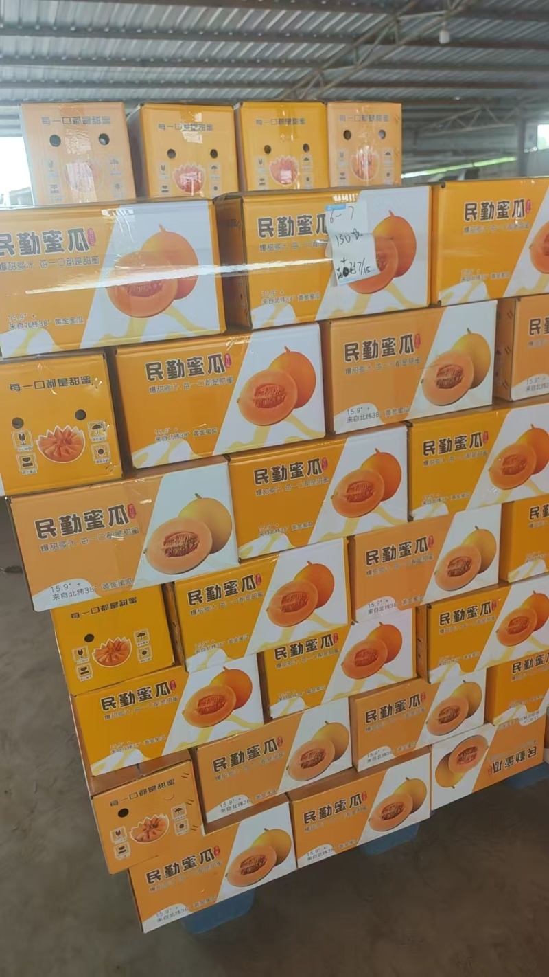 甘肃民勤蜜瓜，一件代发，批发市场，产地直发，来电预约