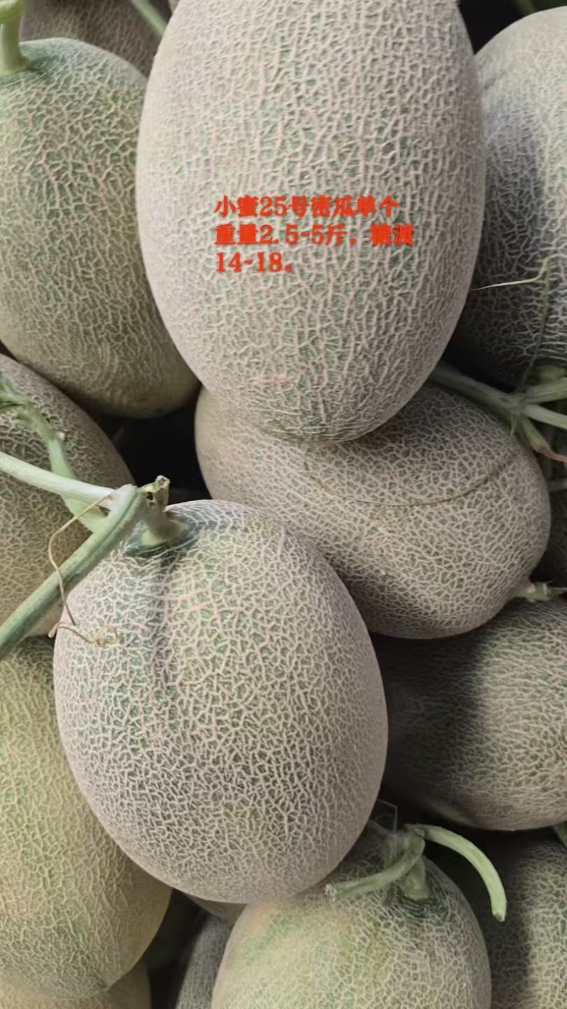 甘肃民勤蜜瓜，一件代发，批发市场，产地直发，来电预约