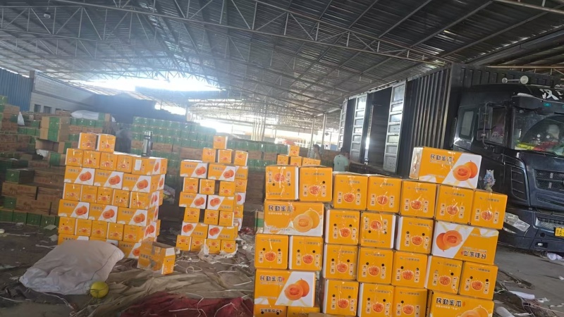 甘肃民勤蜜瓜，一件代发，批发市场，产地直发，来电预约