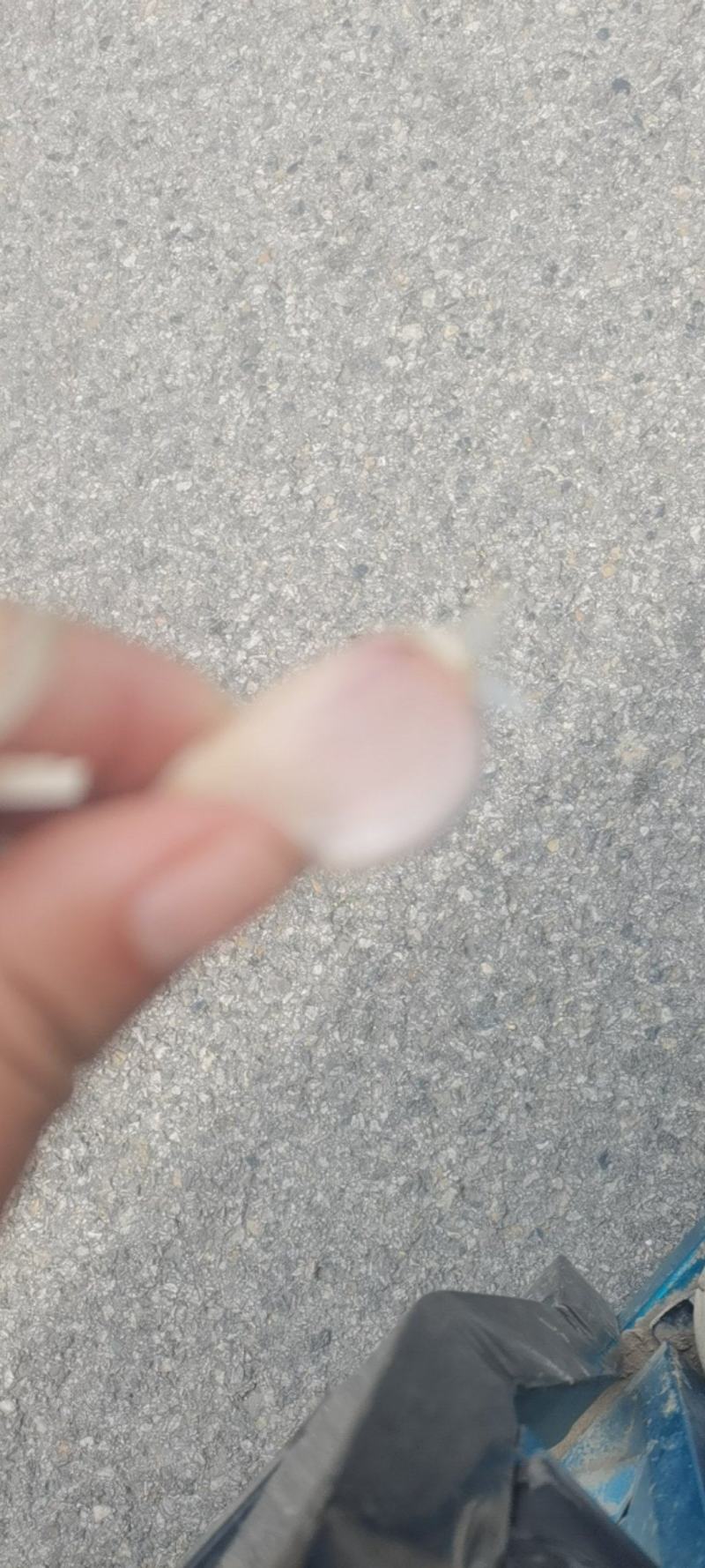 紫皮蒜种台蒜。