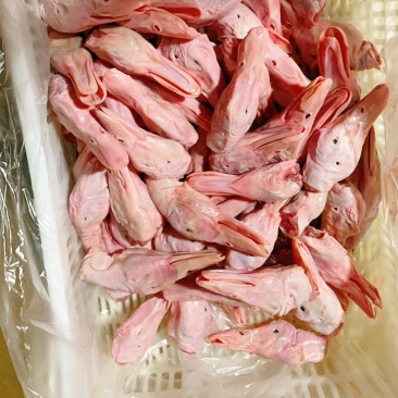 鲜鸭头8000/吨