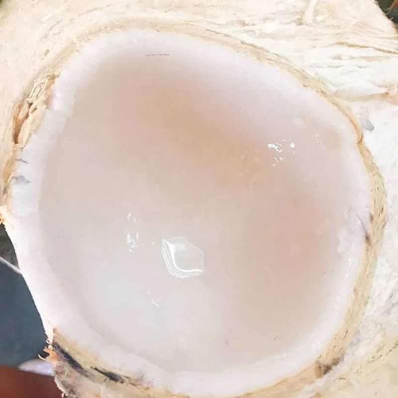 海南万宁新鲜去皮椰青产地直供4-5斤中果53公分5斤大