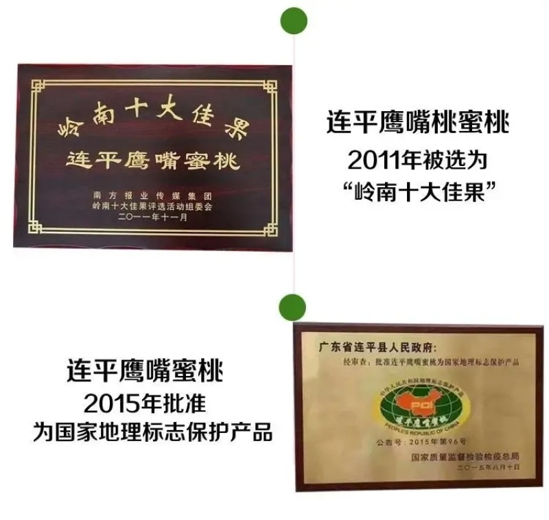 鹰嘴蜜桃果园直采农场直供