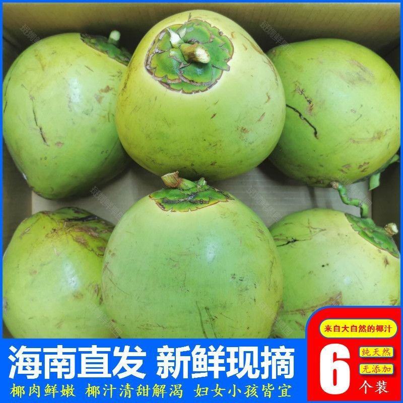 海南万宁新鲜去皮椰青产地直供4-5斤中果53公分5斤大