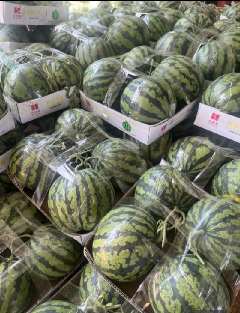 无籽麒麟西瓜，大薄皮，小红壤。糖分13加。产地直发。