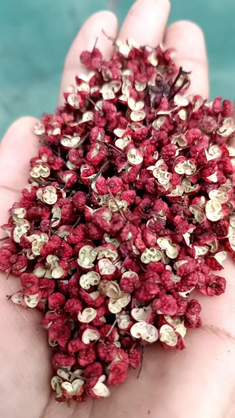 甘肃陇南大红袍花椒自有工厂种植基地批量供应商代发