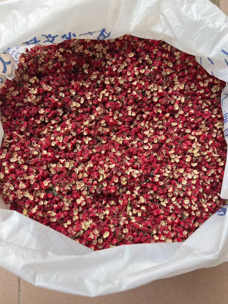甘肃陇南大红袍花椒自有工厂种植基地批量供应商代发